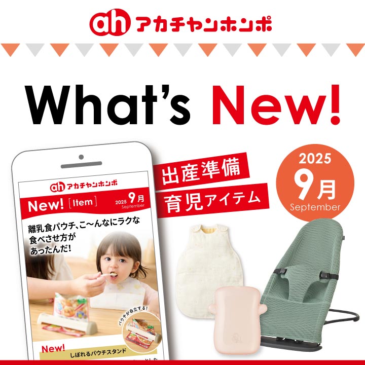 【ほぼ未使用】高校1年から3年まで使うものまとめ！ 入試対策はこれ1冊!】要点がまとまったポケットサイズの「お守り